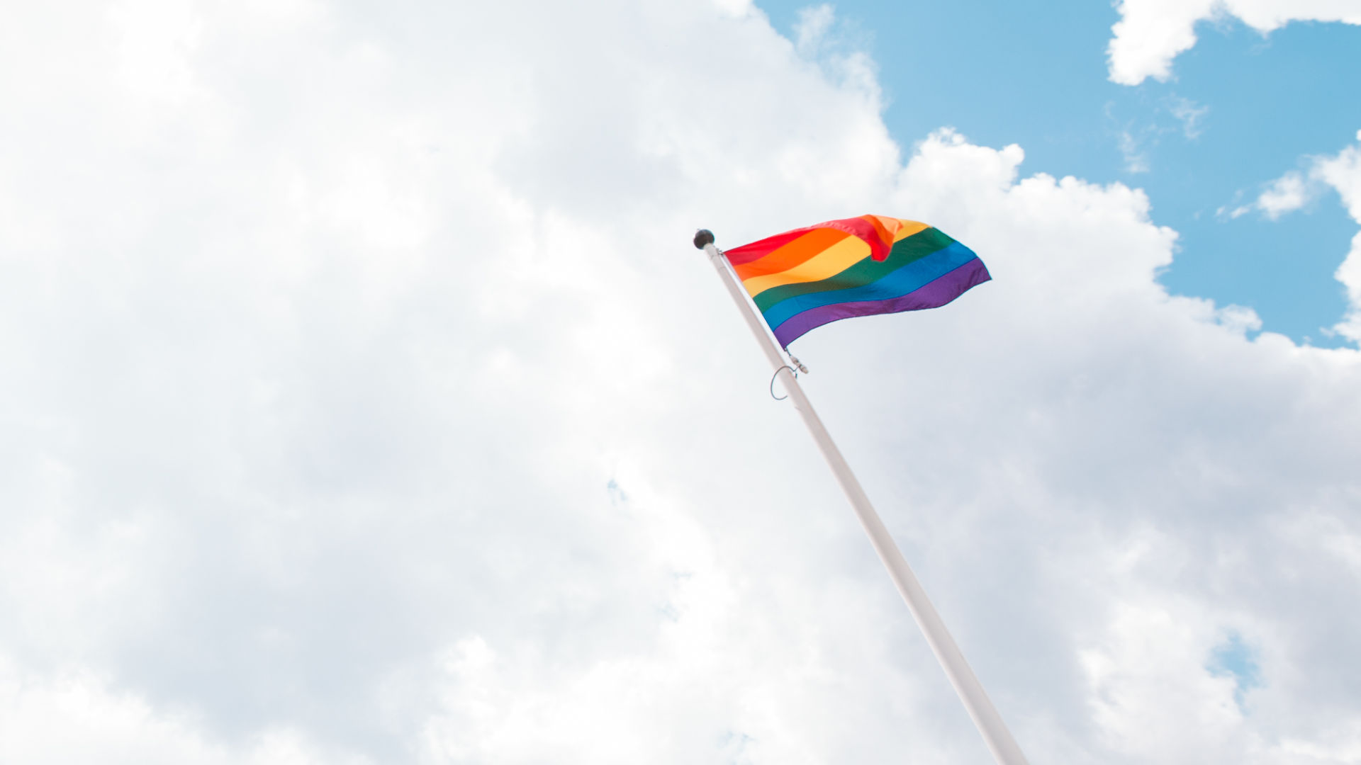 Pride flag (Photo)